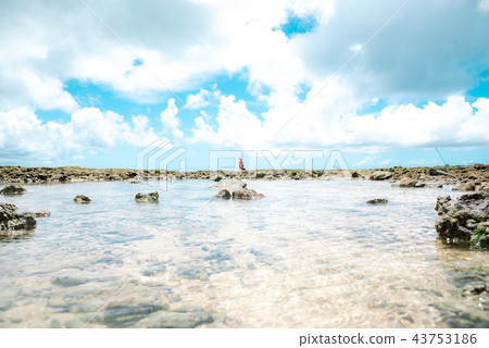 Okinawa Sea Setagashima 43753186