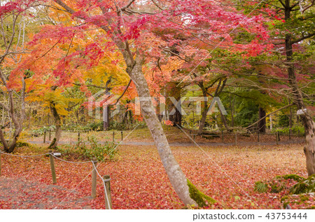 Fukushima Prefecture Guest House Fukushima Prefecture Guest House 43753444