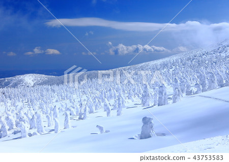 Zao冰群在晴朗的天氣下 Zao冰群在晴朗的天氣下 43753583