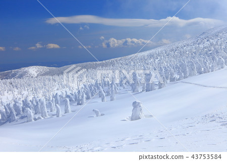 Zao冰群在晴朗的天氣下 43753584