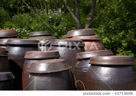 韓國的Jangdeokdae和韓屋 韓國的Jangdeokdae和韓屋 43753698