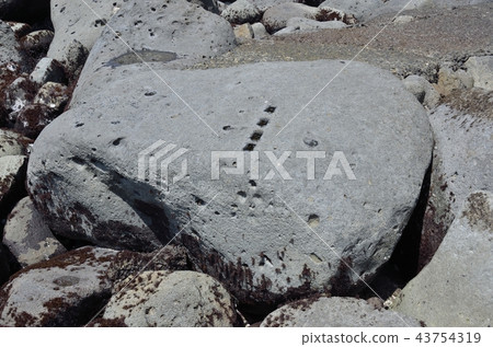 在靜岡縣賀茂郡東伊豆町稻崎市的Shitsuma周圍散步的江戶城石礦的採石場 43754319