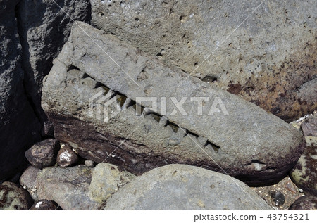 Quarry trace of Edo Castle Ikijo Stone dotted around Shitsuma in Inatori, Higashiizu-cho, Kamo-gun, Shizuoka Prefecture 43754321