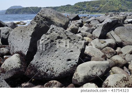 在靜岡縣賀茂郡東伊豆町稻崎市的Shitsuma周圍散步的江戶城石礦的採石場 在靜岡縣賀茂郡東伊豆町稻崎市的Shitsuma周圍散步的江戶城石礦的採石場 43754323