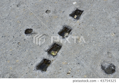 在靜岡縣賀茂郡東伊豆町稻崎市的Shitsuma周圍散步的江戶城石礦的採石場 在靜岡縣賀茂郡東伊豆町稻崎市的Shitsuma周圍散步的江戶城石礦的採石場 43754325