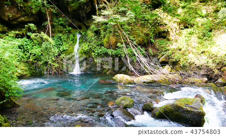 Goshikigahara Shirabiso course Goshikigahara Shirabiso course 43754803