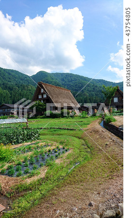 Shirakawa Village Shirakawa Village 43754805