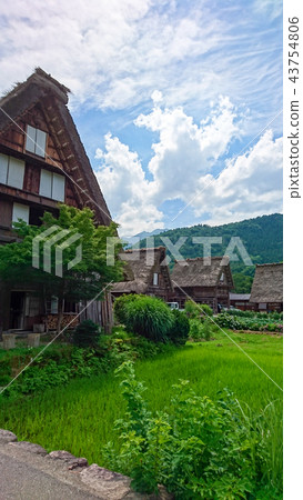 Shirakawa-go, Gokayama Gassho-zu village 43754806