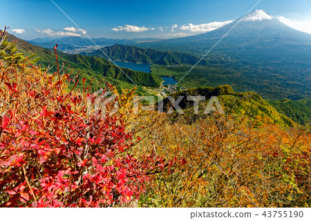 富士山和西湖從山。 43755190