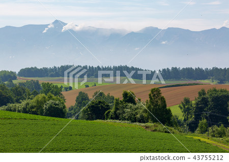 Tokachidake和Biei夏天風景 Tokachidake和Biei夏天風景 43755212