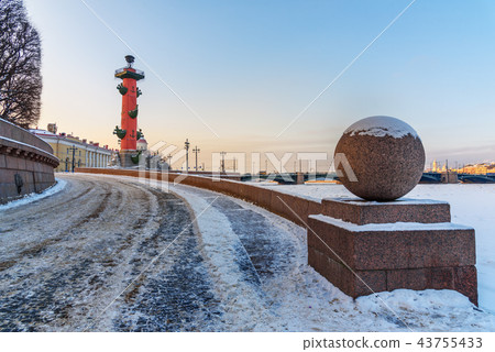 Rostral column on Vasilievsky island at sunset 43755433