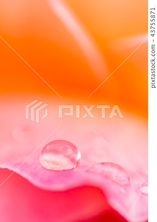 水滴 水滴 43755871