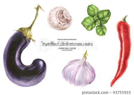 Watercolor vegetable set 43755933