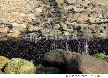 Seaside spring 43756432