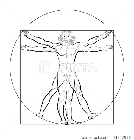 vitruvian man outline