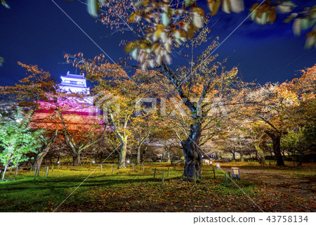 Wakamatsu城堡Hagi Tsuruga城堡Honmaru Tenshukaku和秋天的樹葉在秋天的夜空中閃耀的歷史遺跡點亮 43758134