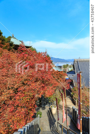 秋天宮島，Daishoin 43758407