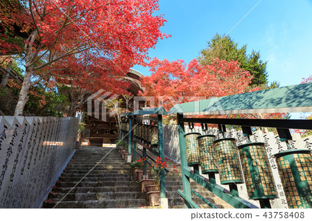 Autumn Miyajima, Daishoin 43758408