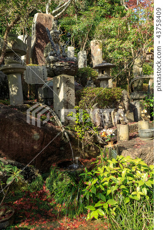 Autumn Miyajima, Daishoin 43758409