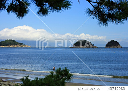 Sea, summer, beach, sea landscape, vacation, beach 43759983