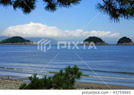 Sea, summer, beach, sea landscape, vacation, beach 43759985