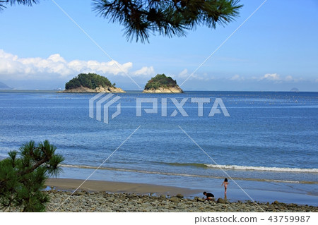Sea, summer, beach, sea landscape, vacation, beach Sea, summer, beach, sea landscape, vacation, beach 43759987