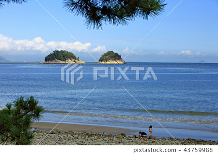 Sea, summer, beach, sea landscape, vacation, beach Sea, summer, beach, sea landscape, vacation, beach 43759988