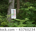 注意奶牛 43760234