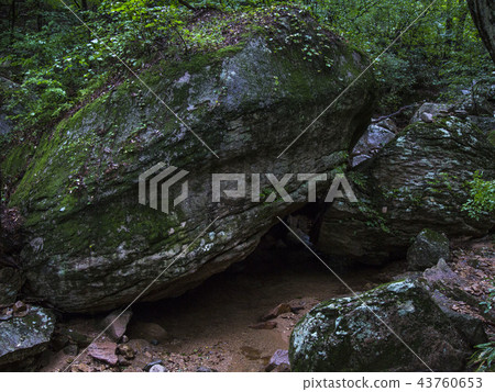 松尼法住 43760653