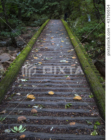 松尼法住 43760654