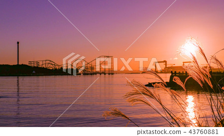 Dawn of the fall (Susuki and Hakkeijima Sea Paradise) Dawn of the fall (Susuki and Hakkeijima Sea Paradise) 43760881
