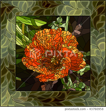Vector illustration of flower poppy. Vector illustration of flower poppy. 43760958