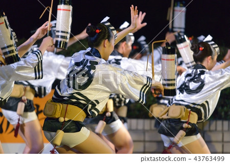 Man dance of the original Tokushima Awa dance law undercover Man dance of the original Tokushima Awa dance law undercover 43763499