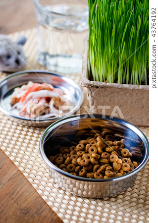 貓的米飯 43764192