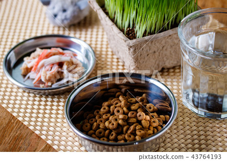 貓的米飯 貓的米飯 43764193