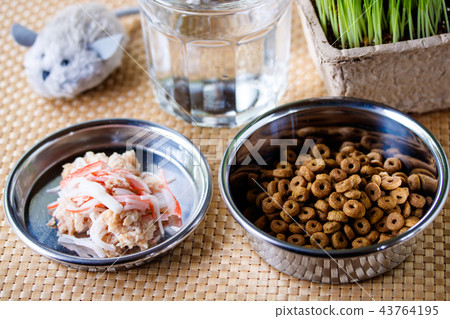 貓的米飯 43764195