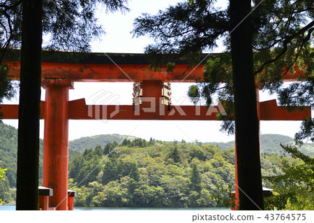 鳥居 鳥居 43764575