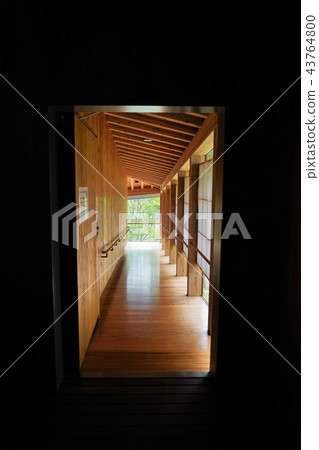 Warmth of trees (Hotel in Kochi, cloud) 43764800