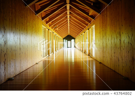 Warmth of trees (Hotel in Kochi, cloud) 43764802