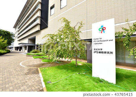 Kyoto University iPS Cell Research Institute Kyoto University Yoshida Campus Faculty of Medicine, Hospital, Faculty of Pharmacy 43765415