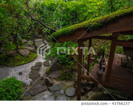 TakaraIzumiin 43766237