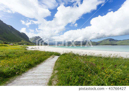 Rambergstranda beach on Lofoten islands. Norway 43766427