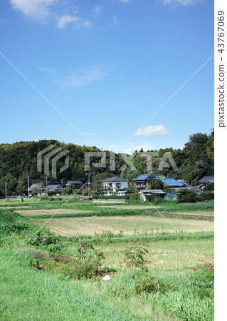 鄉村景觀 43767069