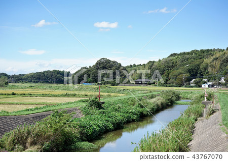 鄉村景觀 鄉村景觀 43767070