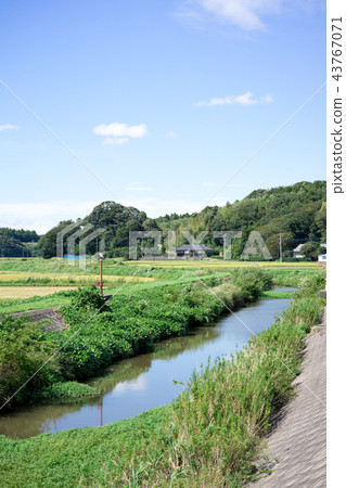 鄉村景觀 鄉村景觀 43767071