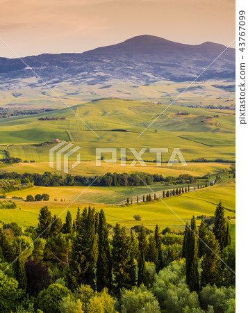Charming tuscan landscape at dusk, Italy Charming tuscan landscape at dusk, Italy 43767099