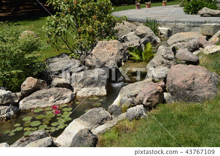 Beautiful pond and Creek with rocks and flowers in the Park this June 3, 2018 Crimea 43767109