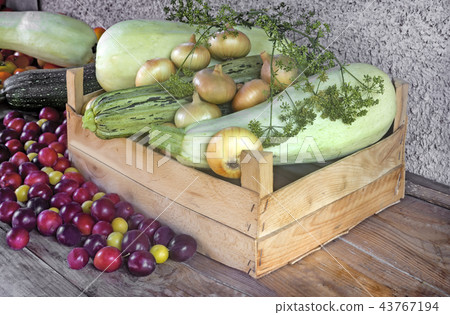 Autumn harvest: zucchini, yellow and red plums, onions Autumn harvest: zucchini, yellow and red plums, onions 43767194