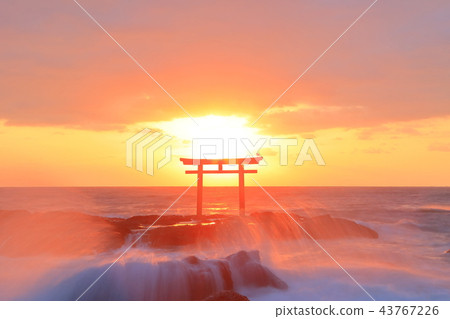 Sunrise of Oarai Iso Shrine Sunrise of Oarai Iso Shrine 43767226