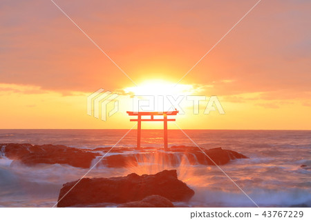 Sunrise of Oarai Iso Shrine 43767229